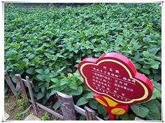 银娱优越会·GEG(中国)股份有限公司