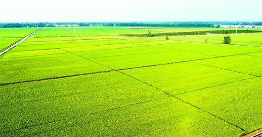 银娱优越会·GEG(中国)股份有限公司