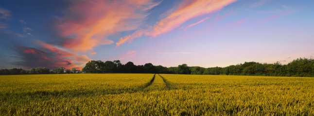 银娱优越会·GEG(中国)股份有限公司