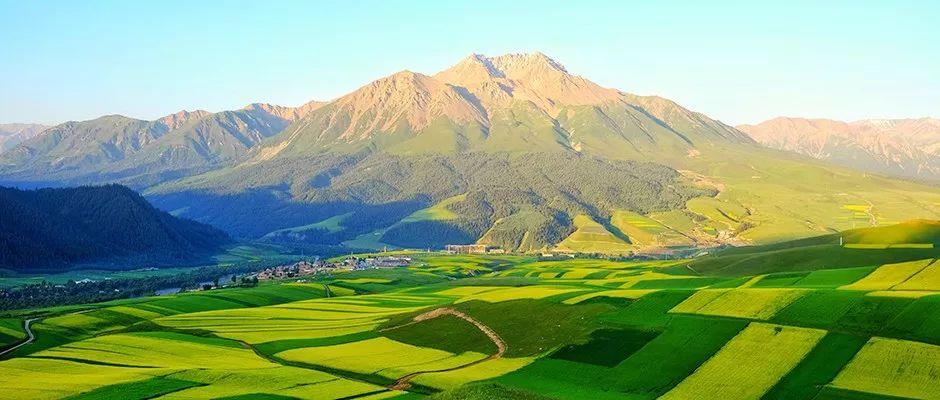 银娱优越会·GEG(中国)股份有限公司