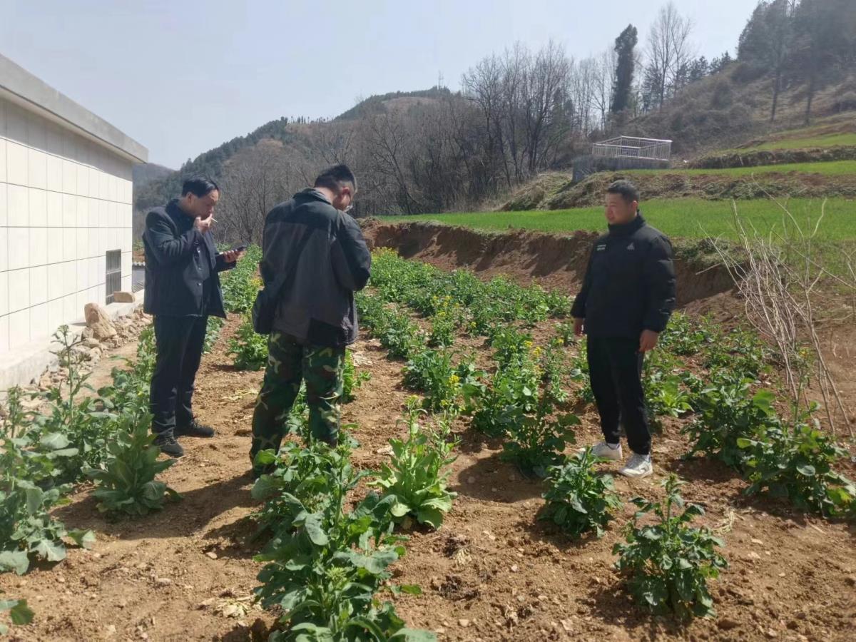 银娱优越会·GEG(中国)股份有限公司