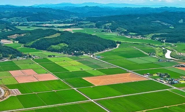 银娱优越会·GEG(中国)股份有限公司