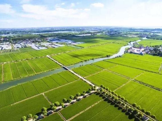 银娱优越会·GEG(中国)股份有限公司